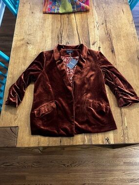 NWT Skies are Blue velvet 3/4 rouched sleeves